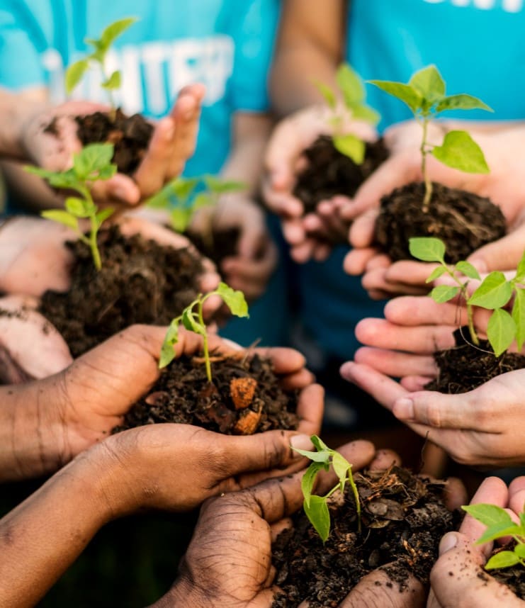 Türk Alman Dostluk Federasyonu DTF - Devam Eden Projeler - Laufende Projekte