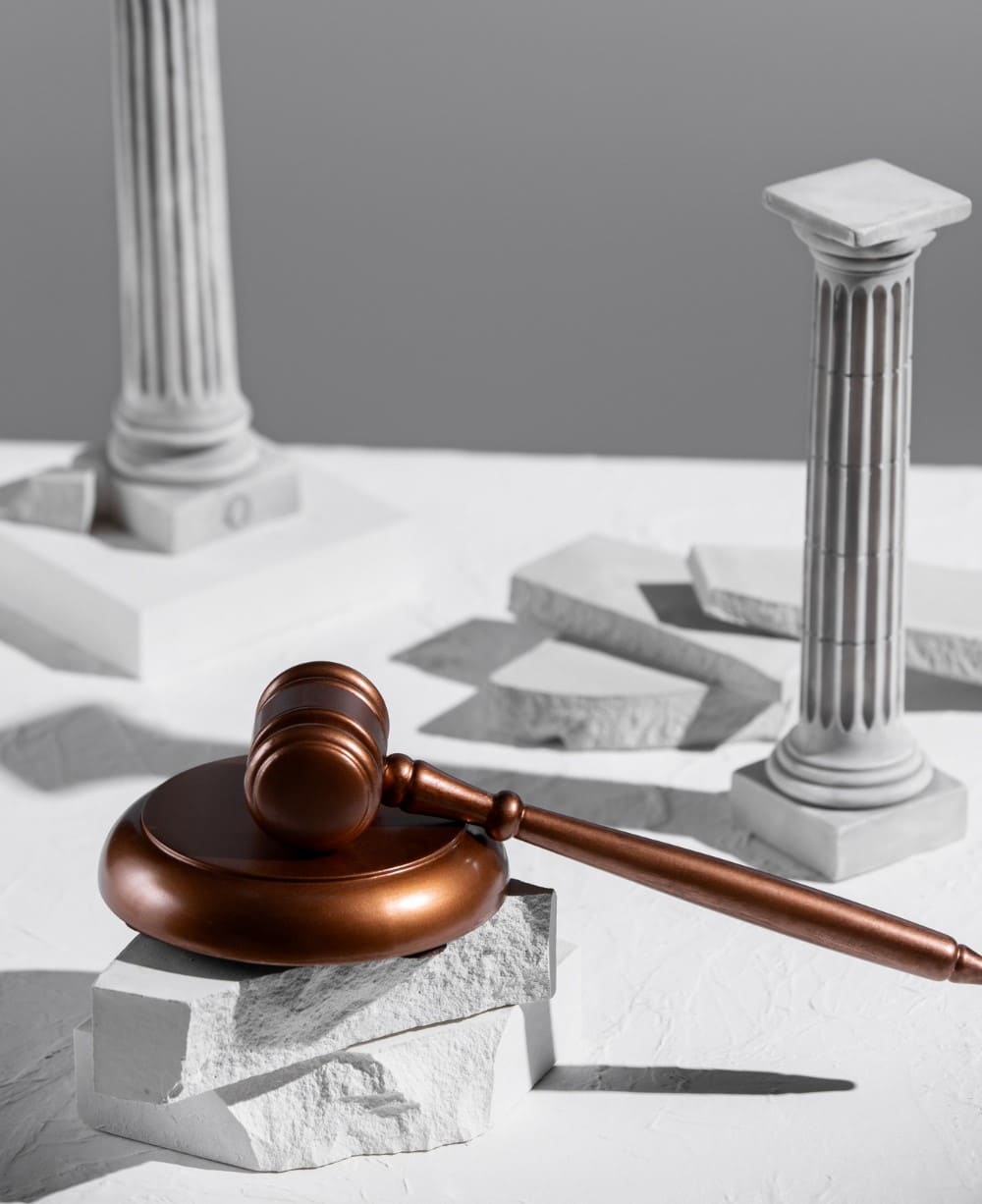 Türk Alman Dostluk Federasyonu DTF Jüri ve Danışma Kurulu - Deutsch Türkische Freundscahftsföderation e.V. Jury Pictures - 7